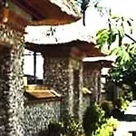 Coconut Grove Village
